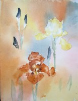 /album/colette-beau1/beau-colette-iris2-jpg1/
